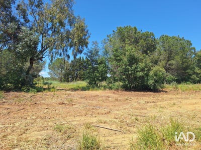 /international/fr/latour-bas-elne-languedoc-roussillon-310108863272/