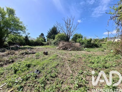 /international/fr/quettehou-upper-normandy-310106856829/