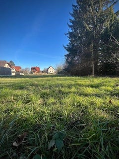 /international/fr/muttersholtz-alsace-310104958948/