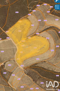/international/fr/planezes-midi-pyrenees-310109219683/