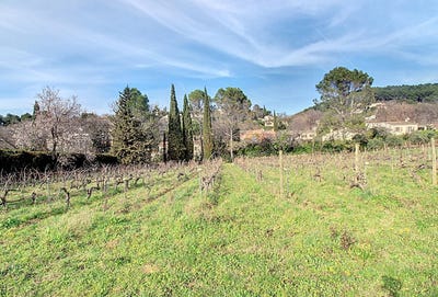 /international/fr/draguignan-provence-alpes-cote-d-azur-310107792745/