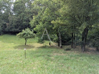 /international/fr/veuzain-sur-loire-centre-val-de-loire-310108727867/