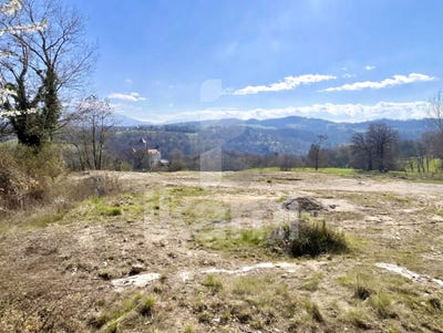 /international/fr/poisy-rhone-310106685598/