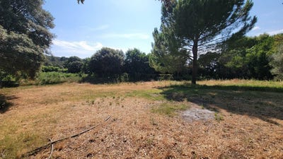 /international/fr/le-pouget-languedoc-roussillon-310109261336/