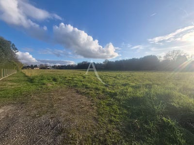 /international/fr/avenue-du-marsan-villeneuve-de-marsan-aquitaine-310104464068/