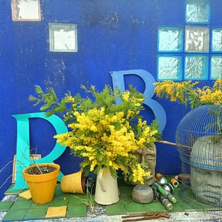 /international/fr/saint-bauzely-languedoc-roussillon-310106781759/