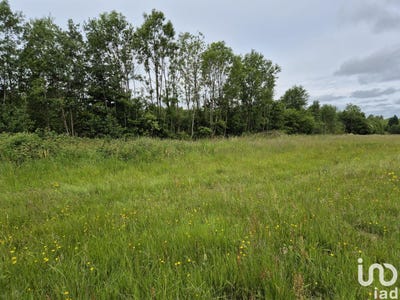 /international/fr/rocroi-ardennes-310101107781/
