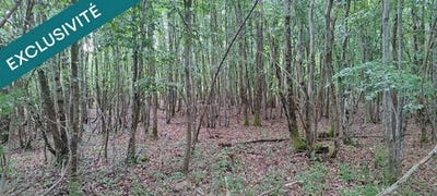 /international/fr/huismes-centre-val-de-loire-310108186975/