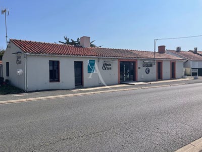 /international/fr/bretignolles-sur-mer-pays-de-la-loire-310104471389/