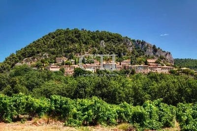 /international/fr/seguret-provence-alpes-cote-d-azur-310104508666/