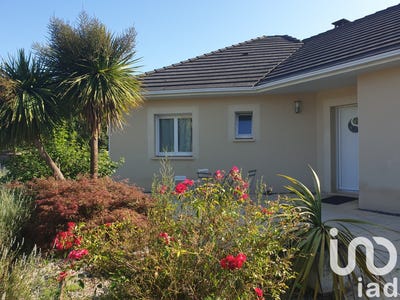 /international/fr/allassac-limousin-310097284608/