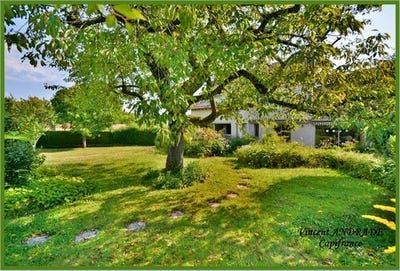 /international/fr/janville-sur-juine-ile-de-france-310099146939/