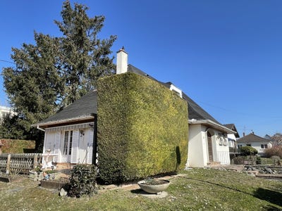/international/fr/riedisheim-alsace-310108244401/