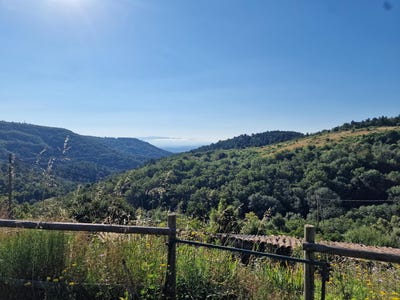 /international/fr/saint-georges-les-bains-rhone-310098738032/?lang=zh-cn