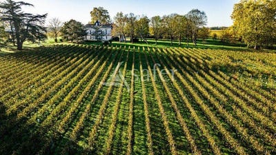/international/fr/saint-sulpice-et-cameyrac-aquitaine-310104988729/