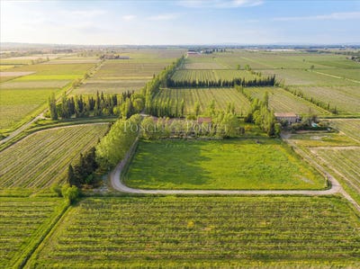 /international/fr/puicheric-languedoc-roussillon-310105073557/