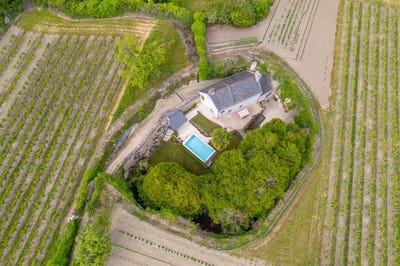 /international/fr/souzay-champigny-pays-de-la-loire-310100227024/?lang=zh-tw
