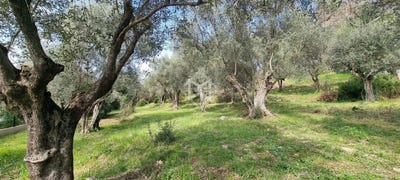 /international/fr/opio-provence-alpes-cote-d-azur-310101085747/?lang=de