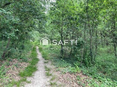 /international/fr/montauban-midi-pyrenees-310108761860/
