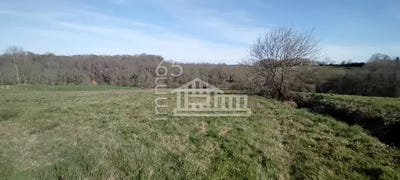 /international/fr/montignac-charente-310105832454/