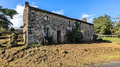/international/fr/saint-amand-sur-sevre-charente-310097272678/
