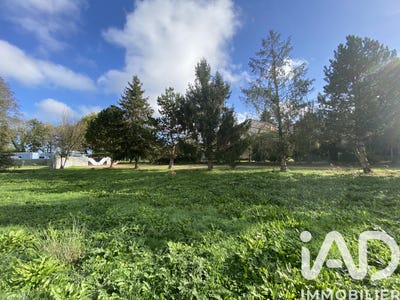 /international/fr/landeronde-pays-de-la-loire-310106421234/