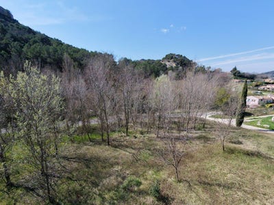 /international/fr/entrechaux-provence-alpes-cote-d-azur-310107561071/
