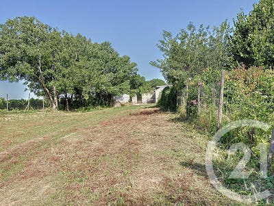 /international/fr/tresques-languedoc-roussillon-310107565481/