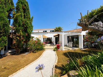 /international/fr/le-fenouiller-pays-de-la-loire-310109577899/