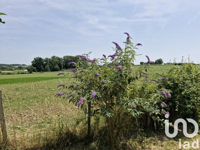 /international/fr/sainte-radegonde-aquitaine-310098863361/