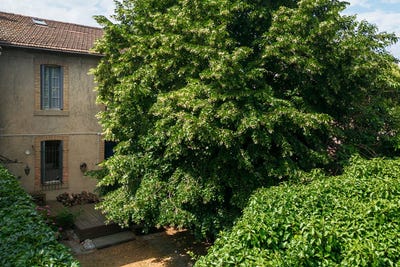 /international/fr/carcassonne-languedoc-roussillon-310108944449/