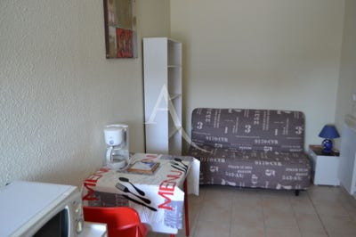 /international/fr/albi-midi-pyrenees-310106063425/