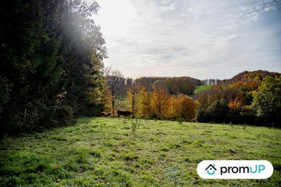 /international/fr/rouairoux-midi-pyrenees-310103176083/