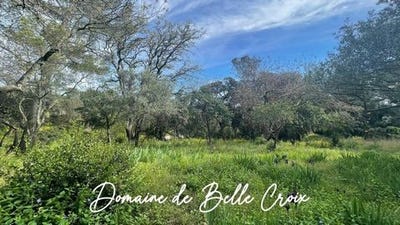 /international/fr/villeneuve-les-avignon-languedoc-roussillon-310107148343/