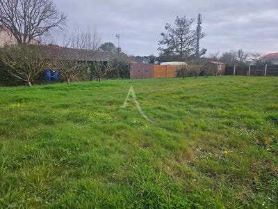 /international/fr/bretignolles-sur-mer-pays-de-la-loire-310106413526/