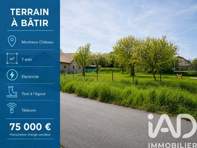 /international/fr/montreux-chateau-franche-comte-310108180227/