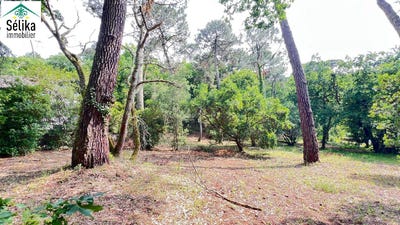 /international/fr/arcachon-aquitaine-310101486620/?lang=id