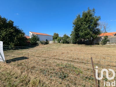 /international/fr/l-ile-d-olonne-pays-de-la-loire-310108557365/