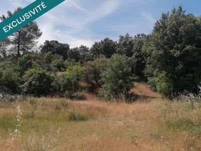 /international/fr/camps-la-source-provence-alpes-cote-d-azur-310108674812/
