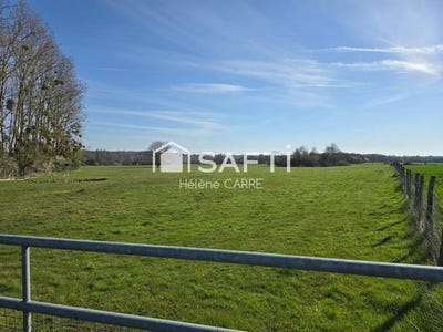 /international/fr/saint-georges-sur-la-pree-centre-val-de-loire-310101380133/