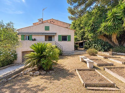 /international/fr/cagnes-sur-mer-provence-alpes-cote-d-azur-310120160451/