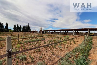 /international/fr/aubord-languedoc-roussillon-310105912716/
