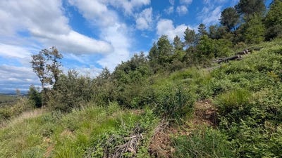 /international/fr/carces-provence-alpes-cote-d-azur-120093753860/