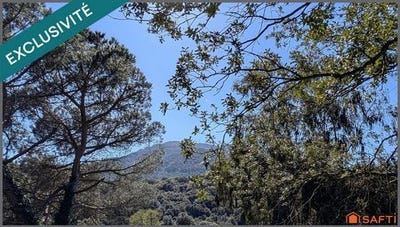 /international/fr/alata-corsica-310106293520/