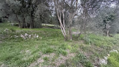 /international/fr/grasse-provence-alpes-cote-d-azur-310109171310/
