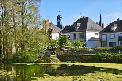 /international/fr/sully-sur-loire-centre-val-de-loire-310099288307/