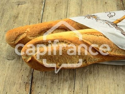 /international/fr/artheze-pays-de-la-loire-310101381687/?lang=en