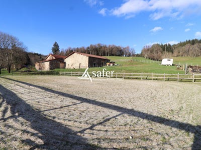 /international/fr/courpiere-auvergne-310106068846/