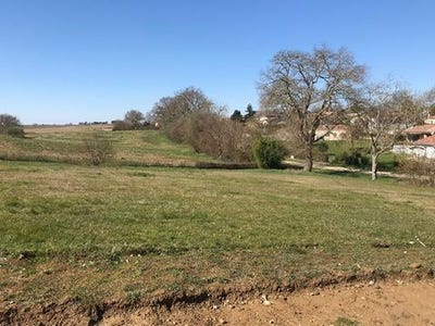 /international/fr/eauze-midi-pyrenees-310101487475/?lang=it