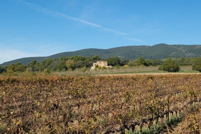 /international/fr/cucuron-provence-alpes-cote-d-azur-310108633846/